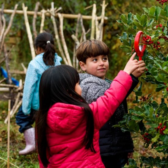 Trumpington Federation Forest School